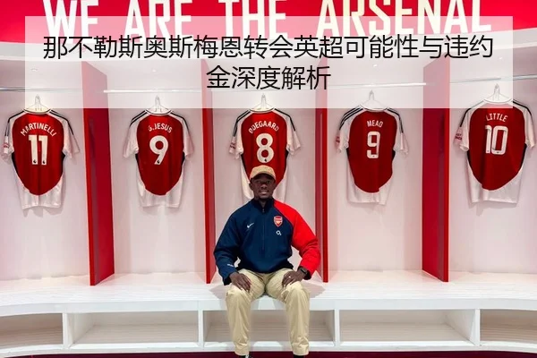那不勒斯奥斯梅恩转会英超可能性与违约金深度解析